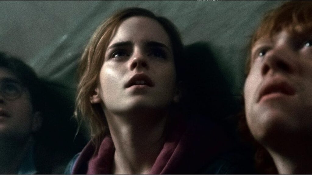 Hermione Granger (Harry Potter) 